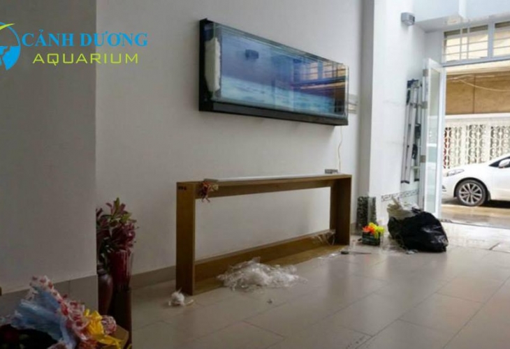 Hồ cá treo tường giá bao nhiêu?