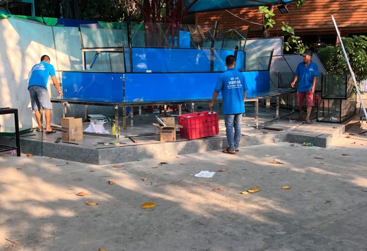 Những lưu ý khi thiết kế hồ hải sản bạn không thể bỏ qua