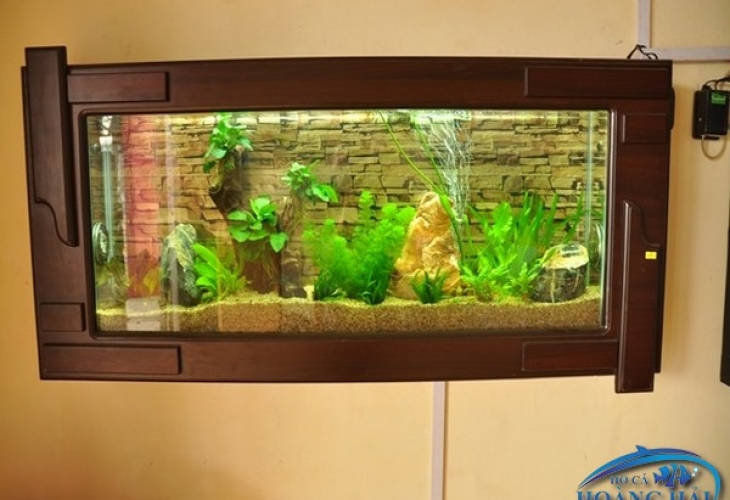 Các yếu tố giúp làm nên một hồ cá treo tường ưng ý