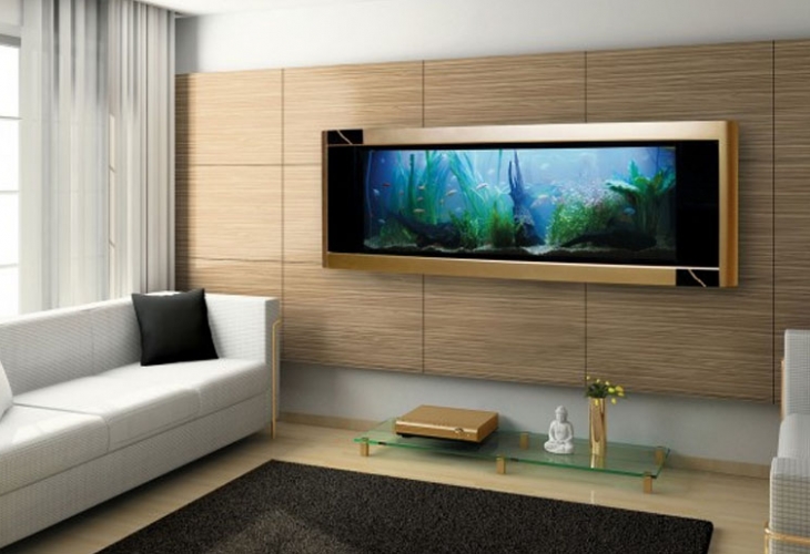 Những ưu điểm thú vị của bể cá treo tường